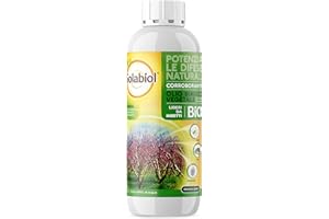 SOLABIOL Olio Bianco Vegetale di SOIA Concentrato. Potenziatore delle difese delle piante da attacchi degli insetti come afidi, cocciniglia. 1 LT