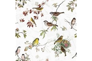 KAXILU 20 servilletas con diseño de pájaros y animales, 33 x 33 cm