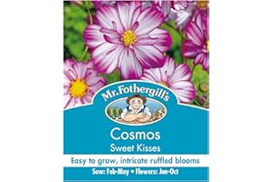 MR FOTHERGILLS Mr Fothergill?s Seeds Ltd 17922 Flower Seeds, Cosmos Sweet Kisses, Pink & White