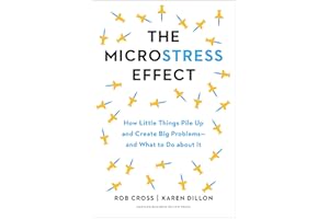 The Microstress Effect: How Little Things Pile Up and Create Big Problems--and What to Do About It