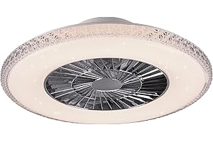 RL LIVE YOUR LIGHT Ventilatore LED da soffitto effetto stella TELECOMANDO Lampada Daylight dimmerabile Reality Lights R62412106