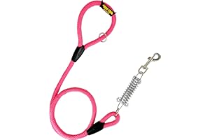 AVANZONA Correa para Perros, Amortiguador, Antitirones, para Perros medianos y Grandes, Fabricada en España. 120cm. Rosa