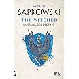 La spada del destino. The Witcher (Vol. 2)