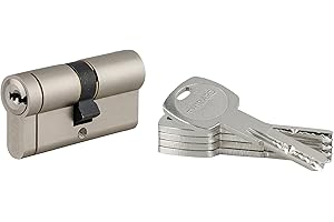 THIRARD - Cylindre De Serrure 30 X 30 mm Nickelé - Transit 1 - Dimensions : 30x30 - Cylindre Profile - Transit - Profil européen laiton Mécanisme à 6 goupilles