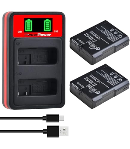 Nikon Battery DSTE 2-piece Battery And 2-channel Dual USB Quick - Technical View