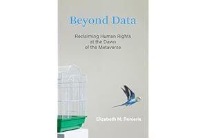 Beyond Data: Reclaiming Human Rights at the Dawn of the Metaverse