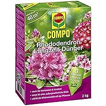 COMPO Rhododendron Langzeit-Dnger, 2 kg, Sie erhalten 1 Packung : Amazon.de:  Garten