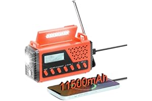 [10.000 mAh] Raddy SD10 Radio a manovella DAB/DAB+/FM/Bluetooth, Radio portatile di emergenza solare, Alimentata a batteria con torcia, Power Bank, SOS, Sveglia, Jack per cuffie per campeggio Blackout