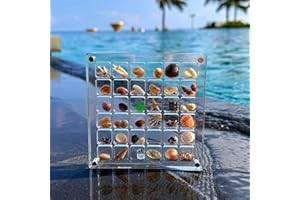 GYZGIRLOVER Acrylic Magnetic Seashell Display Box, Clear Mini Seashell Storage Box, Multifunctional Diamond Gemstone Display Organizer Case, for Mini Seashell Starfish Trinket, Bead, Jewelry