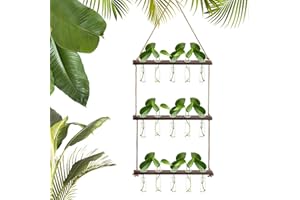 Okllen Wandbehang Pflanzgefäß Terrarium mit Holzständer, 3 Etagen und 15 Röhren, Glasröhrenvase, Hängende Blumenvasen aus Glas, Pflanzgefäß für Hydrokulturpflanzen, Garten, Heimdekoration, Geschenk