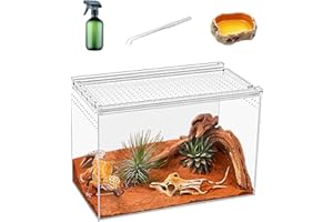 KAKOOTI Terrarium Reptile, 11 "x 6" x 8 "boîte d'élevage Reptile, boîtier Acrylique magnétique pour Tarentule, Crabe résident, araignée sauteuse, Iguane, Gecko léopard, hoodrosaure