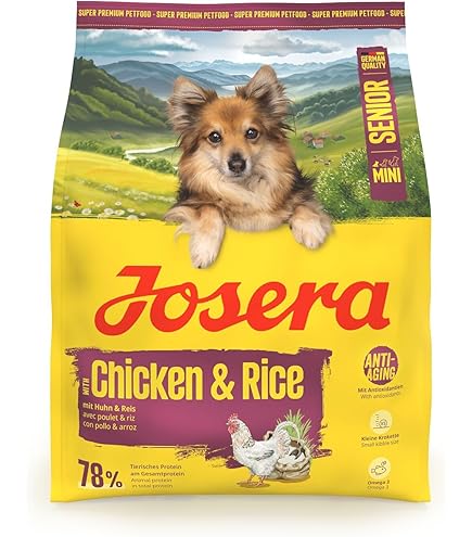 Royal Canin Mini Ageing +12 Pienso Para Perros - Formato Saco De 1,5 Kg
