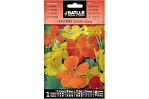 SEMILLAS BATLLE Batlle Capucine GRIMPANTE