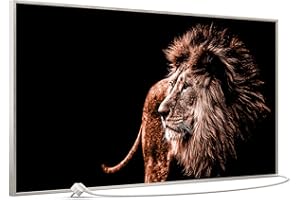 STEINFELD Bild Infrarotheizung mit Thermostat | Made in Germany | viele Motive 350-1200 Watt Rahmen silber (750W, 022 Löwe)