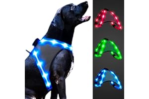 ChalkLit LED Hundegeschirr, Leuchtendes Wiederaufladbares Beleuchtetes Reflektierendes Hundegeschirr Leuchtet Im Dunkeln, LED Hunde-Sicherheitswestenlichter für Nachtspaziergänge (Blau, L)