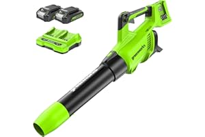 Greenworks Tools Axial Akku Laubbläser 48V(2 x 24V) Laubgebläse mit Turbo Buton (max. Windgeschwindigkeit 225 km/h) inklusive 2 2Ah Lithium Akkus und Ladegerät
