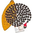 Dravina Trader Original Kamal Gatta Mala 108 Beads Certified Lotus Seed Thamarai Mani Malai Laxmi Maa Puja/Sadhna/Japa/Pooja Men Women With Authenticity Card and A Beautiful Cotton Jaap Bag