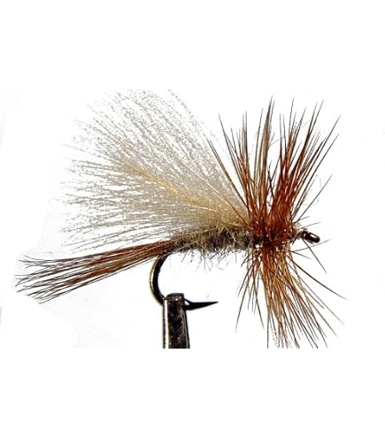 4 Mouches Sèches SEDGE EMERGENT PARACHUTE - Pêche Truite (Taille Au Choix)