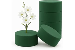 Minfuerang 6 Pièces Mousse Florale Ronde 8 x 4 cm,Mousse pour Art Floral Cylindre,Oasis Ronde Humide et Sèche pour Fleurs Séchées et Fraîches,pour Fleurs Décoration, Fêtes, Maison,Mariages (6)