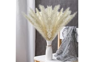 ANSHUKE Pampasgras Klein, 30 Stück Trockenblumen Pampasgras Deko, Natürliche Flauschige Trockenblumenstrauß für Hochzeit, Boho Deko, Gartenhaus, Wohnzimmer, Schlafzimmer
