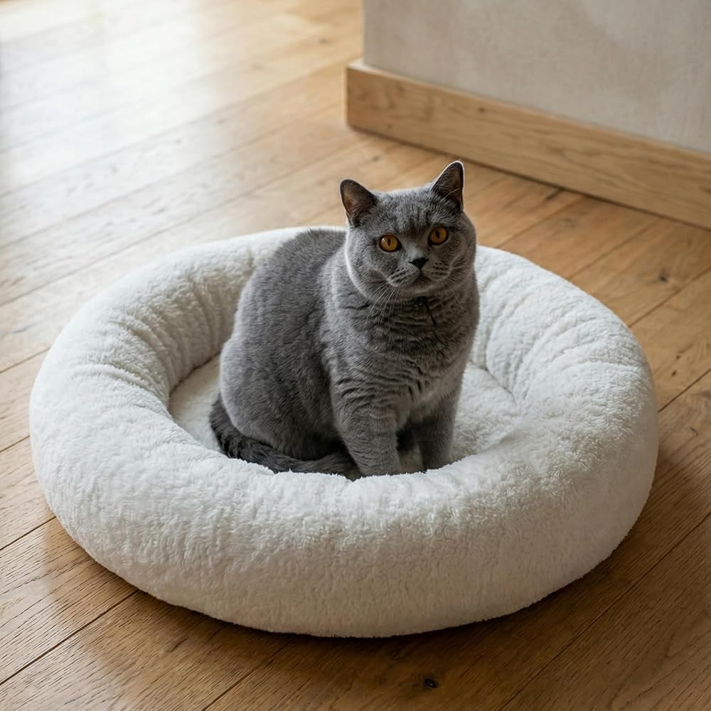 Teddy Donut Şeklinde, Ultra Yumuşak Kumaşlı, Kaydırmaz Tabanlı, Yıkanabilir Kedi ve Köpek Yatağı (Ekru, Small)