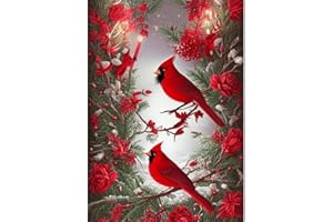 LWZAYS Diamond Art Kit for Adults: 5D Diamond Painting Gem Art Kits for Adults,Crystal Art Diamond Dots Pictures Paintings for Beginner, DIY 3D Cardinal Bird Rhinestone on Canvas (30 x 40 cm)