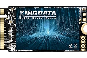 KINGDATA M.2 2242 SSD 1TB NVMe PCIe Gen3 x 4 Internal Solid State Drive, 3D NAND TLC, Gaming SSD, R/W Speed up to 2200 MB/s and 1800 MB/s (M.2 2242 PCIe, 1TB)