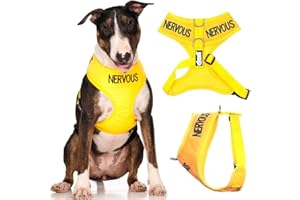 DEXIL NERVOUS (Give Me Space) Yellow Colour Coded Non-Pull Front and Back D Ring Padded and Waterproof Vest Dog Harness PREVENTS Accidents By Warning Others Of Your Dog In Advance (L)