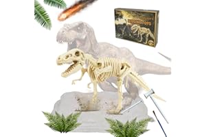 LiRiQi Tyrannosaurus Rex Kit de Creusement, Kit Fouille Fossile Dinosaure, Squelettes 3D Réalistes, Modèles de Dinosaures, Jouets éducatifs avec Marteau et Ciseau, Creuser Fossiles, Excellent Cadeau