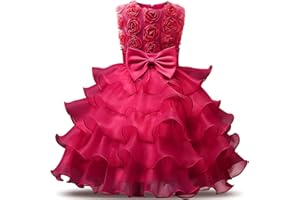 NNJXD Vestido de Fiesta de Encaje de Princesa Vestidos de Novia para niños