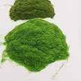 KRAFTMASTERS�100 Grams Artificial Moss Powder Green Fake Grass Fairy Garden Miniatures Landscape Artificial Grass Powder