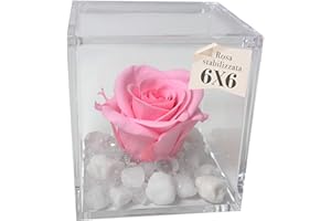 PREMIUM-ROSE.COM OneFlower by PREMIUM-ROSE - Cubo Rosa Stabilizzata Rosa 6 cm con Marmo di Carrara - Rosa Eterna Stabilizzata Made in Italy - Idea per Chi Ama Colori Vivaci e Giovani Donne - Rosa A 1065