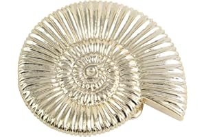 BELTINGER Gürtelschnalle Ammonit 4,0 cm | Buckle Wechselschließe Muschel Gürtelschließe 40mm Massiv | Wechselgürtel bis 4cm
