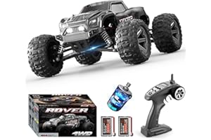 dexinco 1:14 Ferngesteuertes Auto, 55 km/h Hochgeschwindigkeits RC Auto, Wasserdichter 4x4 Hobby RC Monster Truck, 2000 mAh Akku, Konkurrenzfähig mit Bürstenlosen Ferngesteuerte Fahrzeug