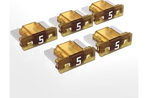 AUPROTEC Mini LP Fusibili a lama 2A - 30A fusibile innestabile per auto scelta: 5A amp castano, 5 pz