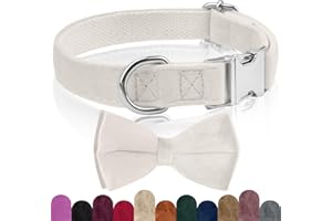 KTWSUEF Collare Cane, papillon cane Collare per Cani Velluto, Collare per Cani Comodo Resistente, Papillon per Cani Rimovibile Regolabile, Per Matrimoni, Compleanni, Eventi Festivi