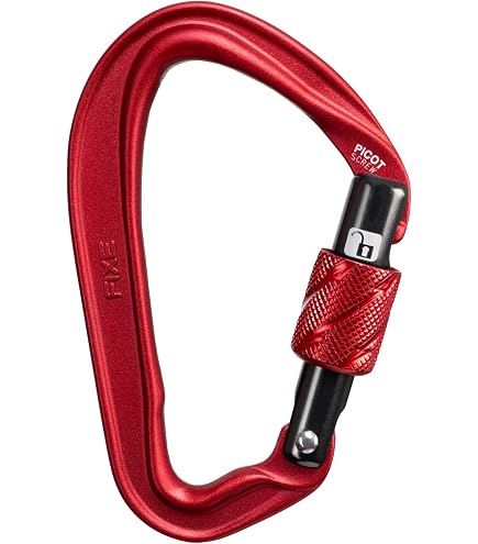 Réunion D'escalade Fixe Type D – Acier Inox 316L, 2 Plaquettes M10/M12, 2 Mousquetons Draco, Résistance 25 KN
