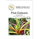 BIO-Mangoldsamen Five Colours von Bobby-Seeds Portion