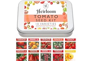THE LITTLE TREES BEES & SEEDS COMPANY Heirloom Tomato Seed Kit, 10 Heirloom Seed Varieties Included in This Grow Your Own Tomato Kit, The Little Trees Bees and Seeds Company