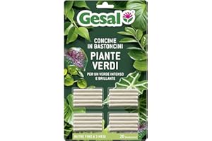 GESAL Concime in Bastoncini, Per Piante Verdi in Vaso, da Appartamento, Balcone e Giardino, Con Guano, 20 Bastoncini (18 g)