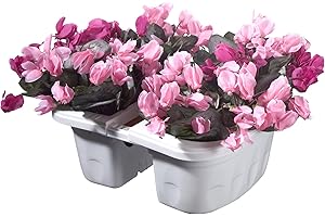 Bama Nässestop S18 30232 klunia doppelt Verstellbarer Balkonkasten mit Wasserspeicher, Creme, 40 x 19,8 x 18,5 cm