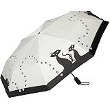 Von Lilienfeld Frosch-Familie Motivschirm – Kompakter Taschenschirm Mit Auf-Zu-Automatik, Windfest & Leicht (30 Cm, 300 G)