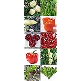 Historische Ungarische Paprikasorten im Set: 10 bestimmte Sorten 100 Samen, von unserer ungarischen Farm samenfest, nur organ