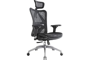 SIHOO Sedia ergonomica con supporto lombare, sedia da ufficio, braccioli regolabili in 3D, tessuto a rete delicato sulla pelle, poggiatesta regolabile, sedia da ufficio ergonomica (nero)