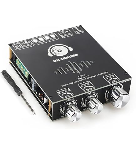 Scheda amplificatore mono Classe DC 12V-26V Potenza audio digitale
