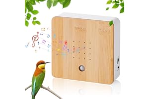 Fancysky Cinguettio degli uccelli