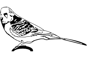 Wall Sticker: Waveel Parakeet, Bird, Pet, Decorative Bird, Choice of Colours and Sizes