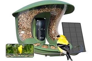 Birdfy Feeder 2 Pro Telecamera per Uccelli con Doppia Lente e Solare, Birdwatching in Tempo Reale per APP, Identificazione Automatica, Avviso,Cattura Intelligente, Mangiatoia per Uccellini da Esterno