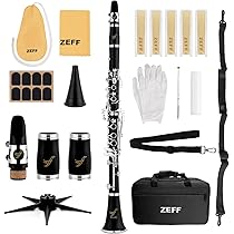 ZEFF Bb Clarinet,Silver Plated Keys : Amazon.in: Musical Instruments