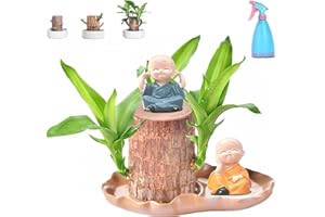 CAMIC Mini Brazil Lucky Wood, Magical Sprouting Lucky Bamboo Wood, Brazilian Lucky Wood Plant, Hydroponic Potted Plant Stump Small Mini Plant, Air Purifying Plants Indoor (D)